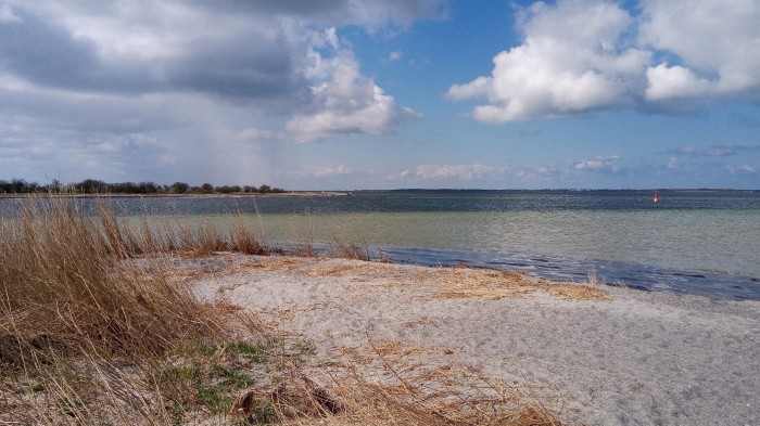 Schaprode auf Rügen