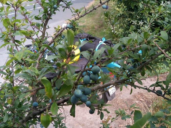 Ein kleines Päuschen auf dem Weg nach Booknis