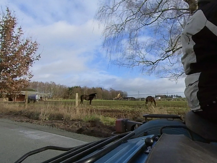 Ferdln im Windpark