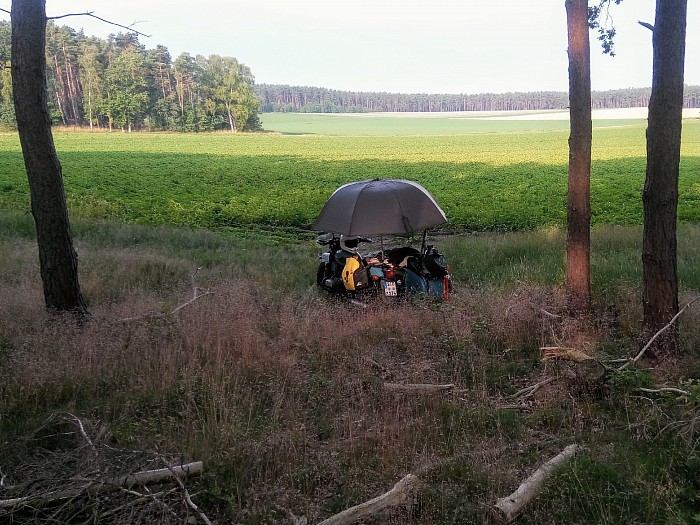 Der Morgen nach dem Besuch. Von hier aus muss mich das Wildschwein beobachtet haben.