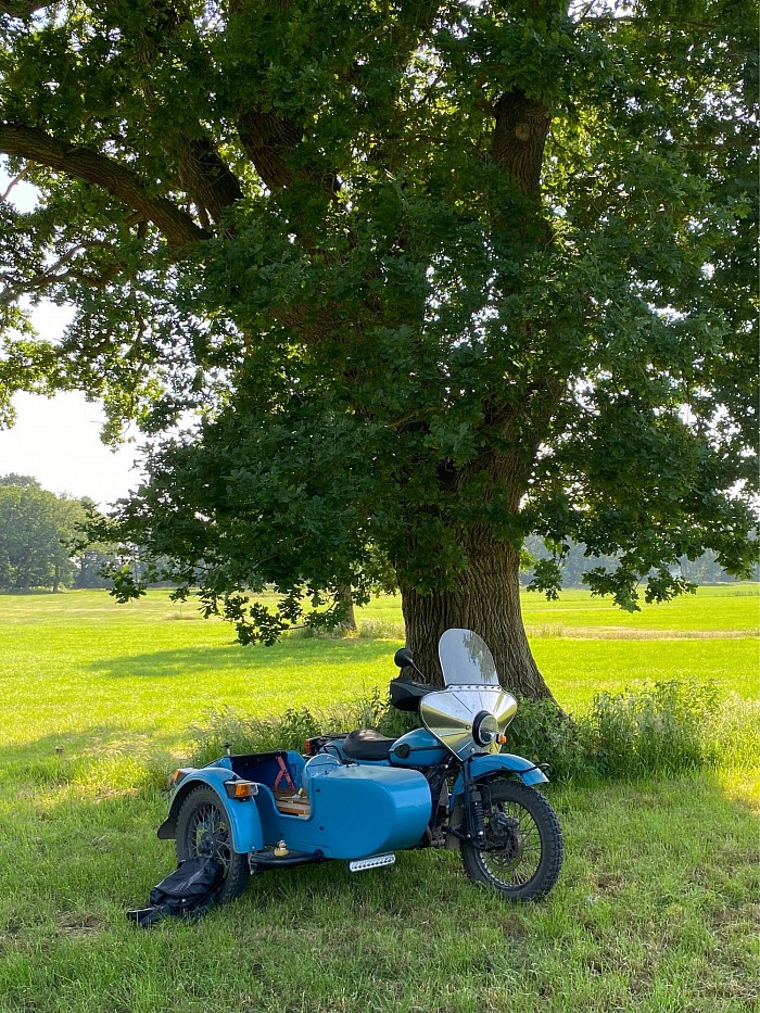 Päuschen im Schatten der Eiche