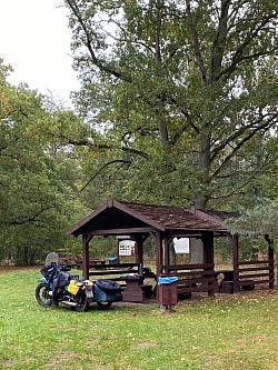 Rast im polnischen Wald