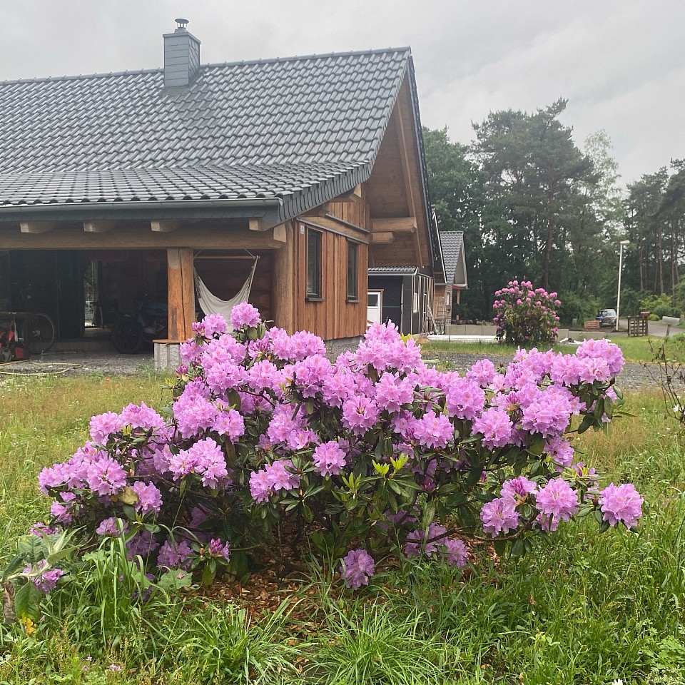 Blümchen vor dem Haus.